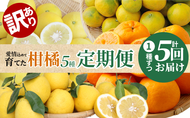 S040-018_【訳あり 定期便5回】天草 下浦地区の農家が愛情込めて育てた柑橘5種〈先行予約〉