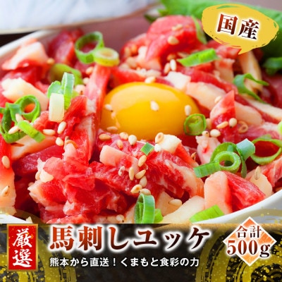 【国産馬刺し】熊本直送　ブロック肉　赤身500g+ユッケ500g　合計1kg(美里町)【配送不可地域：離島】