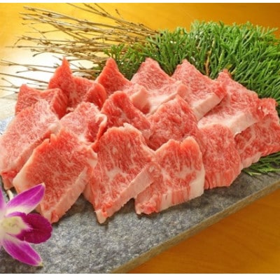 あか牛カルビ焼肉セット(あか牛バラカルビ400g あか牛のたれ200ml付き)(美里町)【配送不可地域：離島】