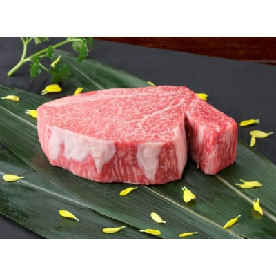 【黒毛和牛】熊本県産　ヒレステーキ　400g(200g×2パック)　(美里町)【配送不可地域：離島】