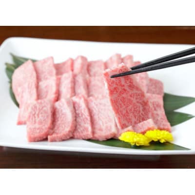 【黒毛和牛】熊本県産　焼き肉用　ロース600g(300g×2パック)　(美里町)【配送不可地域：離島】
