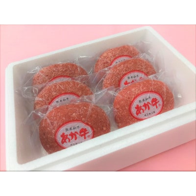あか牛100%ハンバーグセット(あか牛ハンバーグ120g×6個)(美里町)【配送不可地域：離島】