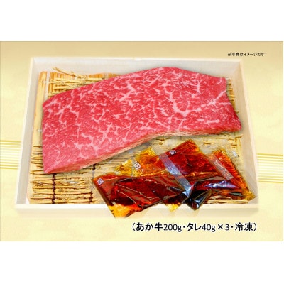 あか牛丼(2人前)セット(あか牛モモ200g、あか牛のたれ40g×3)(美里町)【配送不可地域：離島】