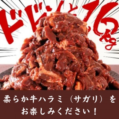 秘伝コク旨 訳あり 牛サガリ(ハラミ)肉 合計1.6kg 【めぐみ食品】【配送不可地域：離島】