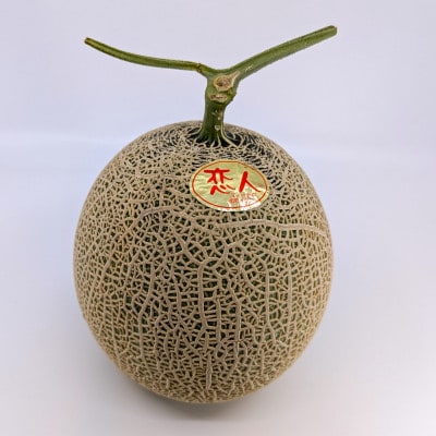 【希少】【数量限定】熊本県 美里町 「恋人メロン」 計2.8kg以上(2玉～3玉) 【上田農園】