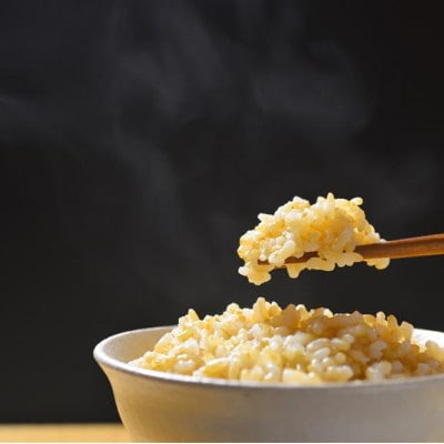 先行予約!令和7年産  ヒノヒカリ 玄米 5kg×1袋 熊本県美里町【本田農園】