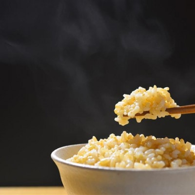 先行予約!令和7年産 新米 ヒノヒカリ にこまる 食べ比べ 玄米 10kg(各5kg×2袋)