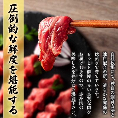 【毎月定期便】【全3回】フジチクふじ馬刺し上赤身4個セット 合計約320g(美里町)　全3回【配送不可地域：離島】