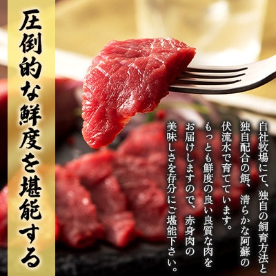 【毎月定期便】【全3回】フジチク国産馬刺しとユッケのセット合計310g(美里町)全3回【配送不可地域：離島】