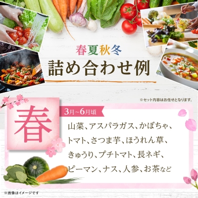 季節の野菜 詰め合わせ「スタンダードコース」【配送不可地域：離島】