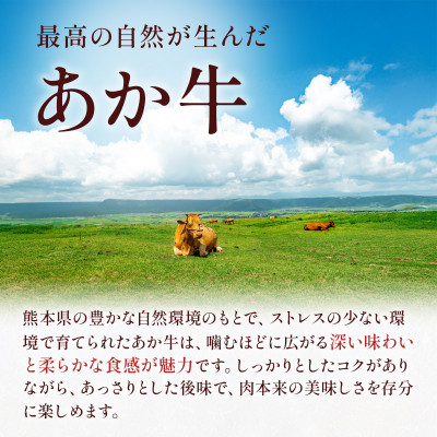 熊本県産 GI認証取得 くまもとあか牛 切り落とし 合計800g(美里町)【配送不可地域：離島】