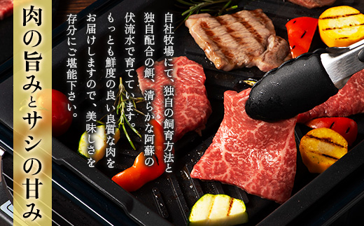 フジチク藤彩牛モモ焼肉用 400g(美里町)【配送不可地域：離島】