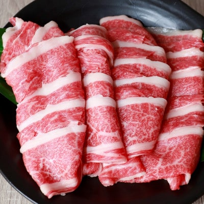 あか牛バラ切り落としセット(あか牛バラスライス500g あか牛のたれ200ml付き)(美里町)【配送不可地域：離島】