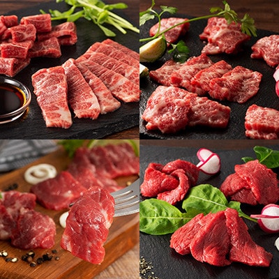 「熊本特産」フジチクオリジナル 特選馬刺しの8種セット(美里町)【配送不可地域：離島】