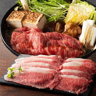 くまもと黒毛和牛「藤彩牛」2種の食べ比べセット計500g(美里町)【配送不可地域：離島】