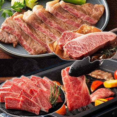 くまもと黒毛和牛「藤彩牛」厳選4種の贅沢セット(美里町)【配送不可地域：離島】