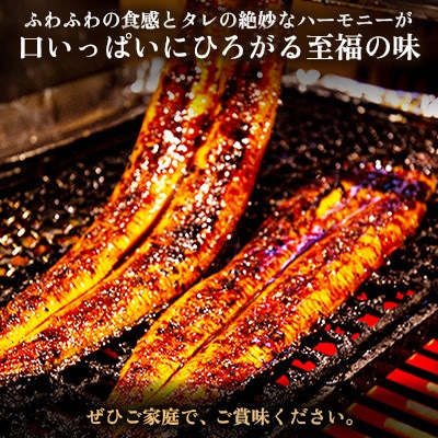 ヒロシのおすすめ!鰻の名店『うな雅』国産 手焼き 鰻【極上】かば焼き 2尾 約500g【配送不可地域：離島】