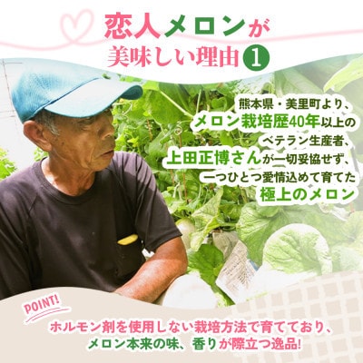 【先行受付】熊本県 美里町産 稀少な上田農園の「恋人メロン」 1.4kg以上(1玉) 赤肉