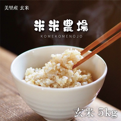 【毎月定期便】九州のお米食味コンクール2年連続優勝!ヒノヒカリ玄米全3回