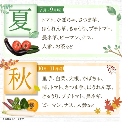 季節の野菜 詰め合わせ「スペシャルコース」【配送不可地域：離島】