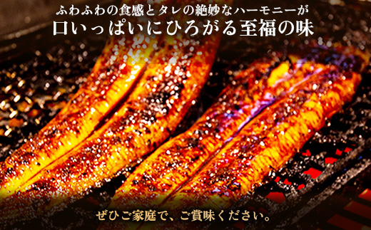 ヒロシのおすすめ!鰻の名店『うな雅』国産 手焼き 鰻【特上】かば焼き 3尾 540g～580g【配送不可地域：離島】