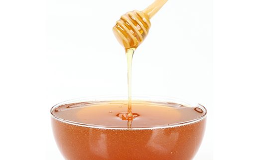 【数量限定】熊本県 美里町 はちみつ 純蜜 240g×2個【中蓮寺農園】