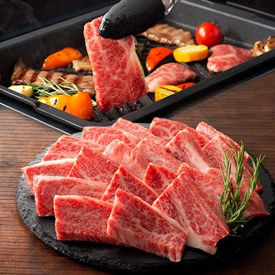 くまもと黒毛和牛「藤彩牛」2種の食べ比べセット計500g(美里町)【配送不可地域：離島】