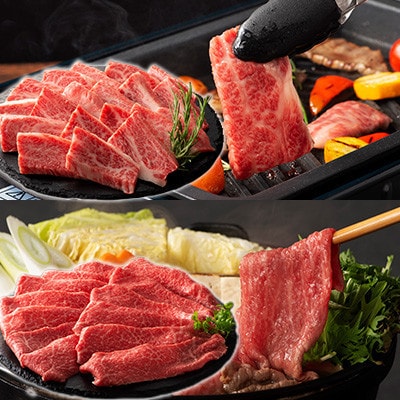 くまもと黒毛和牛「藤彩牛」厳選3種の食べ比べ計600g(美里町)【配送不可地域：離島】