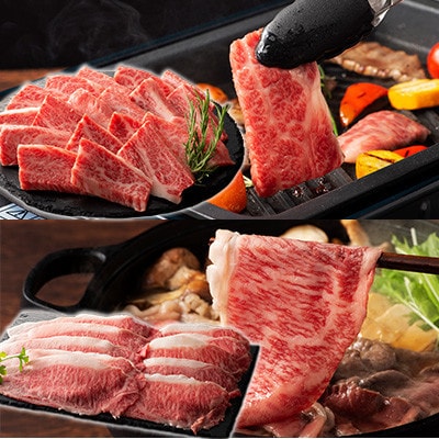 くまもと黒毛和牛「藤彩牛」サーロインステーキと2種の食べ比べ(美里町)【配送不可地域：離島】