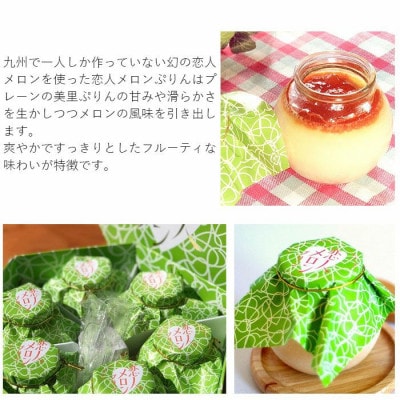 恋人メロンプリン(6個入) 熊本県優良商品賞【配送不可地域：離島】