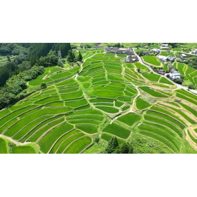 【先行受付】令和7年産　熊本県美里町産　にこまる　5kg