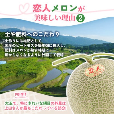 【先行受付】熊本県 美里町産 稀少な上田農園の「恋人メロン」 1.4kg以上(1玉) 赤肉
