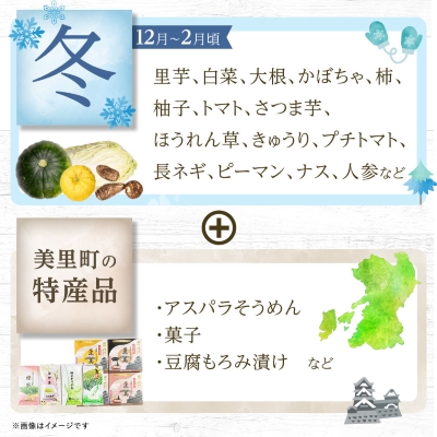 季節の野菜 詰め合わせ「スタンダードコース」【配送不可地域：離島】