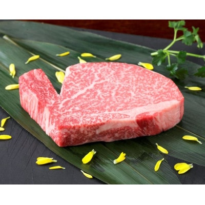 【黒毛和牛】熊本県産　ヒレステーキ　200g　(美里町)【配送不可地域：離島】