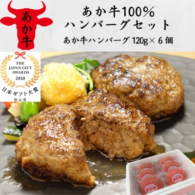 あか牛100%ハンバーグセット(あか牛ハンバーグ120g×6個)(美里町)【配送不可地域：離島】