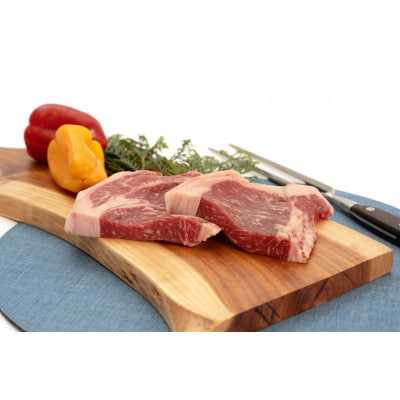 熊本県産　あか牛 　ステーキ500g(250g×2枚)(美里町)【配送不可地域：離島】