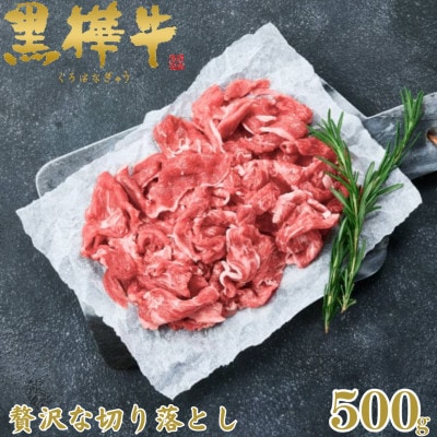 くまもと黒毛和牛 黒樺牛 A4～A5等級 牛肉切り落とし 500g【杉本本店】(美里町)【配送不可地域：離島】