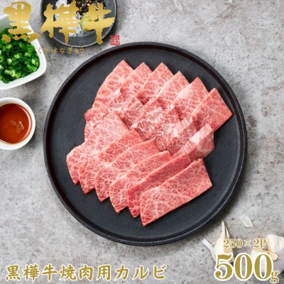 くまもと黒毛和牛 黒樺牛 A4～A5等級 牛肉カルビ 500g 250g×2【杉本本店】(美里町)【配送不可地域：離島】