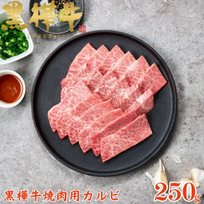 くまもと黒毛和牛 黒樺牛 A4～A5等級 牛肉カルビ 250g×1【杉本本店】(美里町)【配送不可地域：離島】