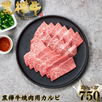 くまもと黒毛和牛 黒樺牛 A4～A5等級 牛肉カルビ 750g(250g×3)【杉本本店】(美里町)【配送不可地域：離島】