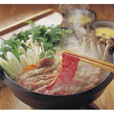 【GI認証】くまもとあか牛 すき焼き用500g(美里町)【配送不可地域：離島】