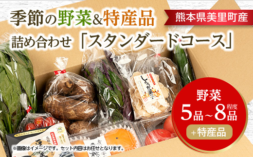 季節の野菜 詰め合わせ「スタンダードコース」【配送不可地域：離島】