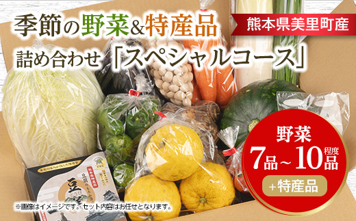 季節の野菜 詰め合わせ「スペシャルコース」【配送不可地域：離島】