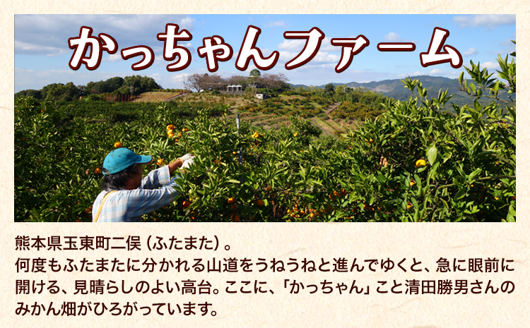 ご家庭用『かっちゃんファーム』のご家庭用みかん★ 約10kg【2S-2Lサイズ(大小サイズ混合)】 自然本来のおいしさ！《1月上旬-1月末頃出荷》---sg_kmkn2s2l_ac1_25_10000_10kg---