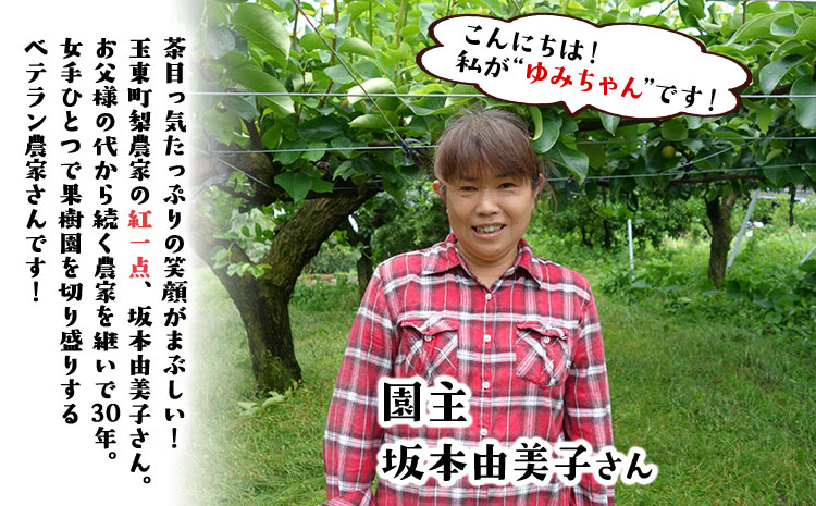 ゆみちゃん農園の玉東梨 甘太梨 約5kg(7～16玉前後) 《2026年8月下旬-10月上旬頃出荷》  梨 なし 果物 フルーツ---sg_cyumikanta_l810_r8_15000_5kg---