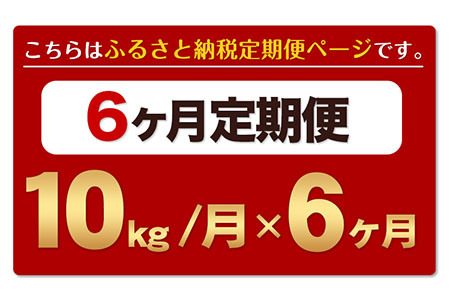 【6ヶ月定期便】新米 令和7年産 定期便 無洗米 ひのひかり 10kg 《お申込み翌月から出荷》令和7年産 熊本県産｜人気米 熊本県産米 お米 生活応援米---hn7tei_138000_10kg_mo6_gkt_m---