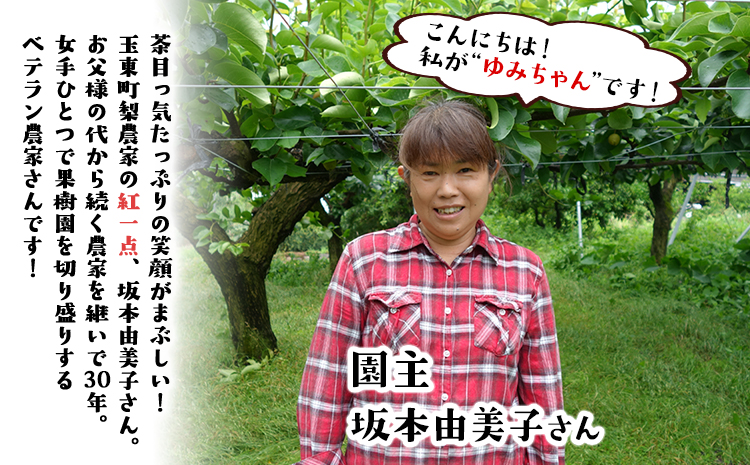ゆみちゃん農園の玉東梨 約3kg(3～10玉前後) 《2026年8月下旬-10月上旬頃出荷》  梨 なし 果物 フルーツ---sg_cyuminashi_l810_r8_12500_3kg---