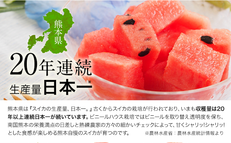 【先行予約】『きよたファーム』の黒小玉すいか2玉セット 1玉約2.5-4kg前後 『きよたファーム』《2026年7月上旬-8月中旬頃出荷》---sg_kfkodama_ae7_r7_13500_2p---