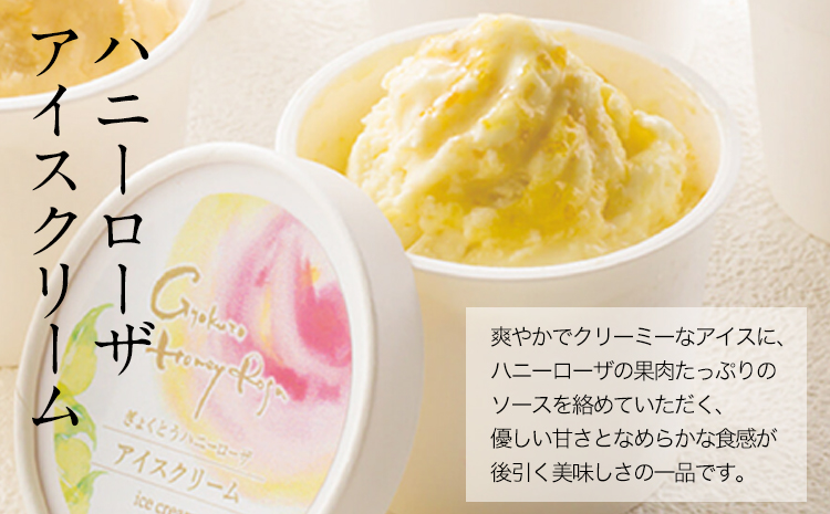 ぎょくとうセレクトアイスバラエティーセット  アイス モナカ ぷらっとぎょくとう《60日以内に出荷予定(土日祝除く)》---sg_fgkticevari_60d_26_19000---