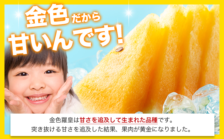 【先行予約】【日付指定不可】『きよたファーム』の黄色すいか1玉 《2026年5月上旬-7月中旬頃出荷》『きよたファーム』すいか 果物 産 黄色---sg_kfkonjiki_ae57_r7_16000_1p---